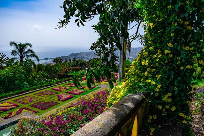 Incredible Botanic Garden of Funchal