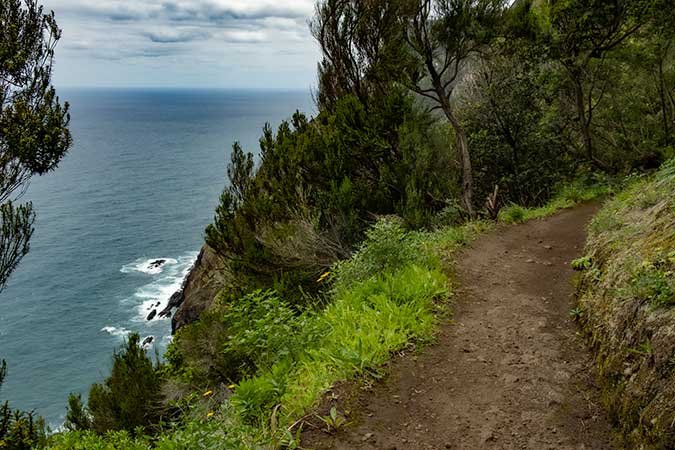 Best Hikes in Madeira you can do without the car - Vereda do Larano