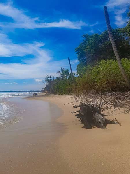The Curse of Palomino / Travellers Guide to the Hippiest Beach Town in Colombia