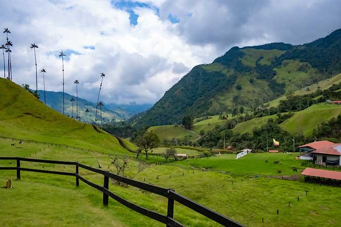COCORA VALLEY / SURPRISINGLY AWESOME THINGS TO DO IN SALENTO, COLOMBIA / COMPLETE GUIDE
